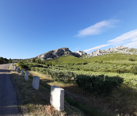 Le massif des Alpilles